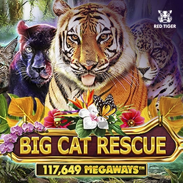 Big Cat Rescue Megaways - PORTBET88