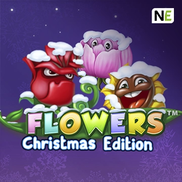Flowers Christmas Edition - PORTBET88