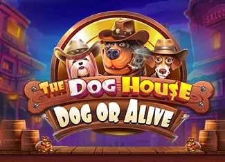 The Dog House - Dog or Alive - PORTBET88