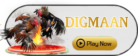 Digman - PORTBET88