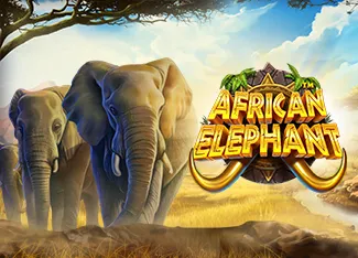 African Elephant - PORTBET88